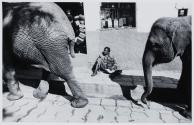 El circo