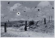 Eclipse solar
