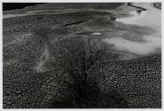 Tierras muertas