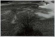 Tierras muertas