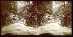 Wissahickon Road