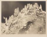 Winter in Yosemite Valley
