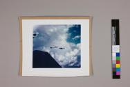 [Grumman Avengers (Torpedo Bombers), World War II]
