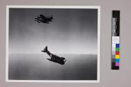DIVE BOMBERS