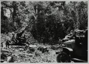 [Anti-aircraft position in the jungle]