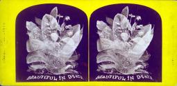 Beautiful in Death