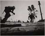 Tarawa - Marines charging in on Tarawa against enemy crossfire that swept the palms like a tropical hurricane. The Leathernecks advanced until four thousand of Tojo's toughest fighters were wiped out.