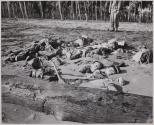 Death in the Morning - The rising sun reveals the bodies of Japanese jungle fighters, half buried in the tidal sands of the Tenara River where they fell in their vicious night attempt to dislodge the U.S. es from Guadalcanal in the Solomon Islands.