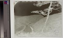 [Delaware Water Gap]