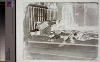 [Dog Asleep on Porch]