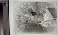 [Rural Landscape]