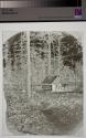 The Woodcutters Hut