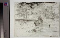 [Pond in the Woods]
