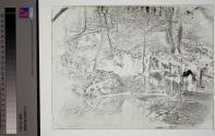 [Stream in Woods]