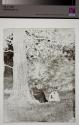 [Man and Woman by a Tree]
