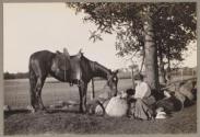 Woman sitting below a tree with a horse next to her