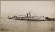Large ships at a dock