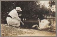 Woman feeding geese