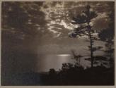 Lake and Trees