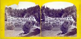 Hotel Du Giessbach.  Suisse