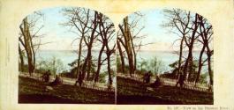 View on the Potomac River