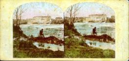 View of the Rapids and Cataract Hotel, Niagara Falls.