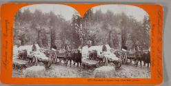 [Entrance to Canyon Crust, Dyea Trail,  Alaska.]
