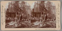 [Prospectors building cabin in forest]