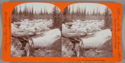 [Ice Gorge in a Slough, Alaska]