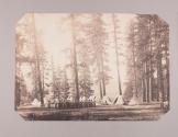 Camp Day, Looking North