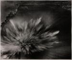 [Japanese Bomb Hits Flight Deck of U.S.S. Enterprise]