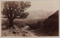 On the Road to the Garden of the Gods.