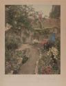 A Garden of Larkspur