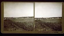 Indian Encampment on the Flathead