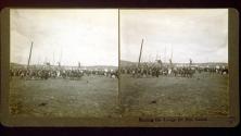 Raising the Lodge for Sun Dance