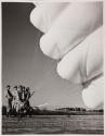 [Group of military personnel holding soldier attached to open parachute]