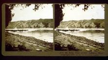 After the Swim, Fierd of Wild Buffaloes, Montana