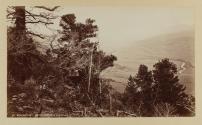 Blue River Mountains. South from near Ute Peak.