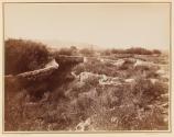 Soda Springs on Bear River, Hot Spring Series.