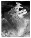 The Water Nixie