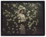 [Woman standing in flowering bush]