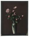 [Pink roses in vase]