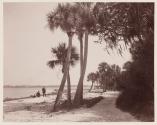 Indian River at Cocoa.