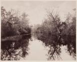 Rice Creek