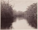 On the Ocklawaha