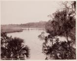 On the Tomoka