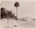 Lake George (St. John's River)