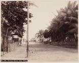 Greene Street, Key West
