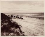 [Horse races on Ormond Beach]