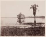 Lake Louise. Near Seville, Fla.